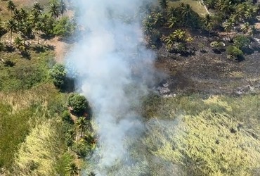 Incêndio atinge área de mata no Mosqueiro e mobiliza Corpo de Bombeiros
