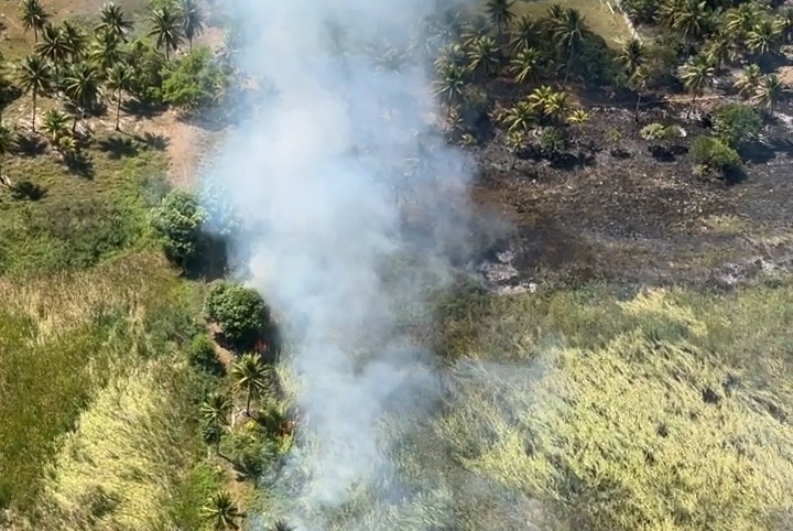Incêndio atinge área de mata no Mosqueiro e mobiliza Corpo de Bombeiros