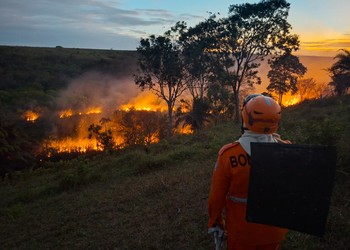 Incêndio de grandes proporções atinge área rural às margens da BR-101 em Cristinápolis
