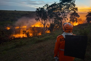 Incêndio de grandes proporções atinge área rural às margens da BR-101 em Cristinápolis