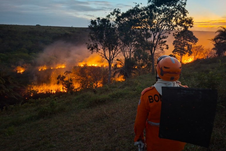 Incêndio de grandes proporções atinge área rural às margens da BR-101 em Cristinápolis