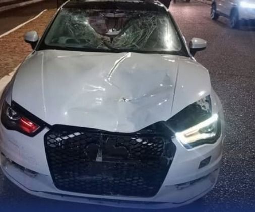 Pedestre perde a vida após atropelamento na Zona Sul da capital