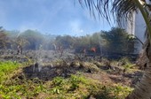 Incêndio em vegetação atinge terreno baldio no bairro Suíssa, em Aracaju