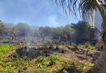 Incêndio em vegetação atinge terreno baldio no bairro Suíssa, em Aracaju