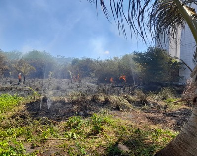 Incêndio em vegetação atinge terreno baldio no bairro Suíssa, em Aracaju