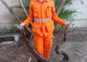 Jiboia de quatro metros é capturada por Bombeiros em bairro da zona Sul de Aracaju