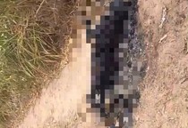 VÍDEO; Corpo de homem é encontrado carbonizado na BR-235, em Laranjeiras