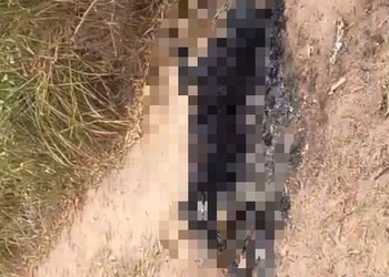 VÍDEO; Corpo de homem é encontrado carbonizado na BR-235, em Laranjeiras