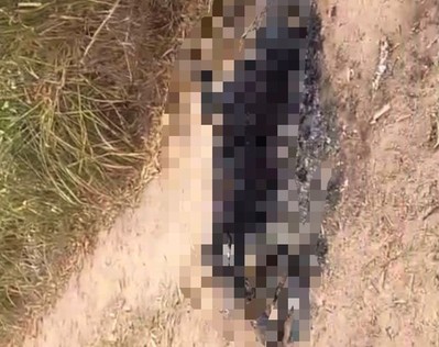 VÍDEO; Corpo de homem é encontrado carbonizado na BR-235, em Laranjeiras