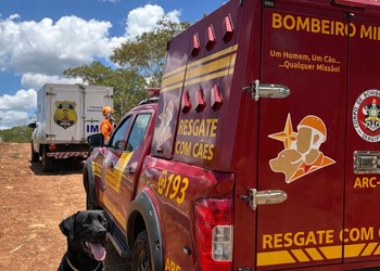 Ataque de abelhas deixa um homem morto e outro ferido em área de mata em Riachuelo