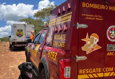 Ataque de abelhas deixa um homem morto e outro ferido em área de mata em Riachuelo