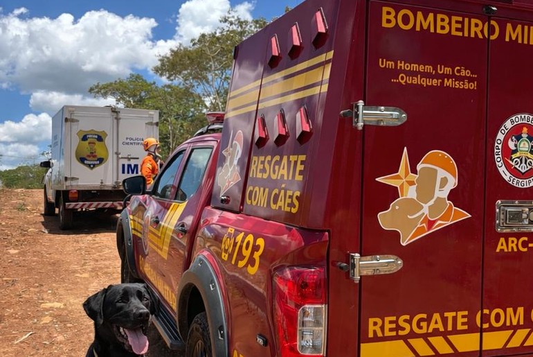 Ataque de abelhas deixa um homem morto e outro ferido em área de mata em Riachuelo