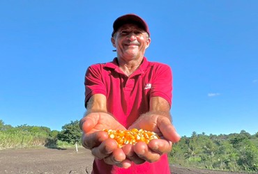Fé no milho move o campo e garante sustento de famílias em Sergipe