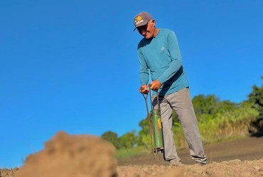 Plantio de milho ganha força em Sergipe com apoio de linhas de crédito do Banco do Nordeste