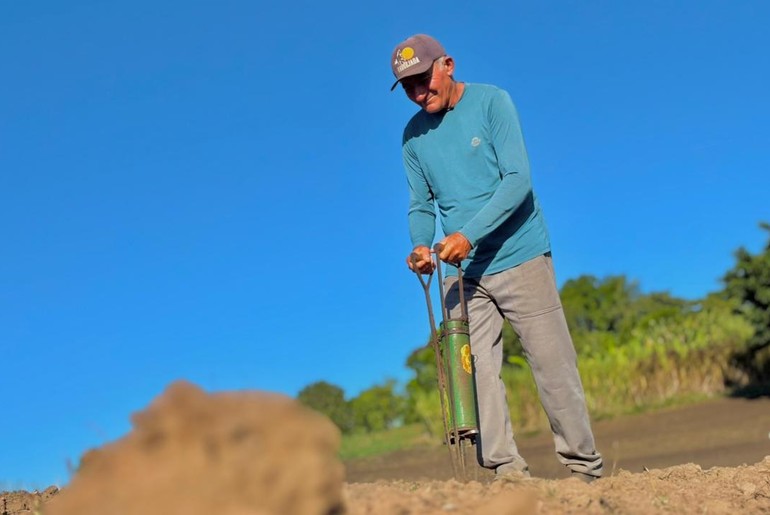 Plantio de milho ganha força em Sergipe com apoio de linhas de crédito do Banco do Nordeste