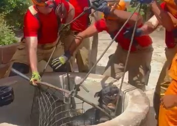 Cachorro é resgatado após cair em cisterna em Cristinápolis