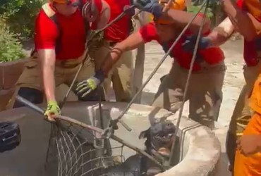 Cachorro é resgatado após cair em cisterna em Cristinápolis