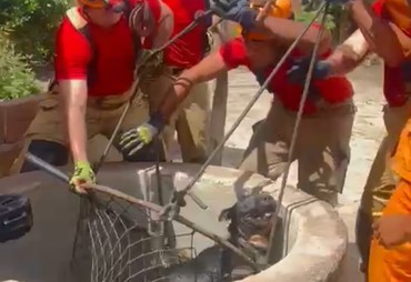 Cachorro é resgatado após cair em cisterna em Cristinápolis