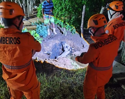 Cavalo é resgatado após cair em fossa de 2,5 metros no interior de Sergipe