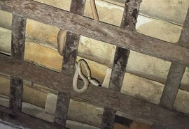 Jiboia é capturada em telhado de residência no centro de Estância