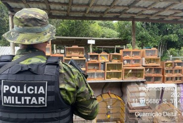 Fiscalização apreende mais de 150 aves silvestres vendidas ilegalmente em feira de Lagarto