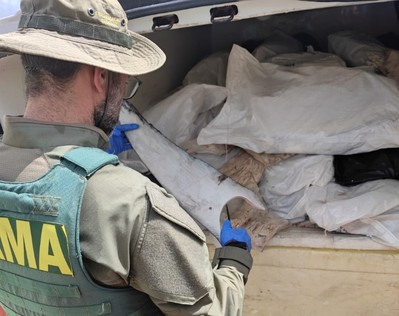 PRF apreende 1,6 tonelada de barbatanas de tubarão e bexigas natatórias em Sergipe