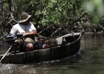 INSS paga R$874 milhões em seguro-defeso para 149,5 mil pescadores a partir da próxima segunda-feira (6)