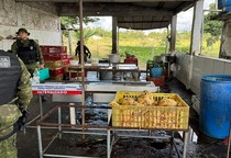 Abatedouro clandestino de aves é fechado em Itaporanga d’Ajuda