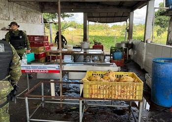 Abatedouro clandestino de aves é fechado em Itaporanga d’Ajuda