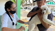 Campanha de vacinação antirrábica realiza repescagem em Aracaju nesta terça (29)