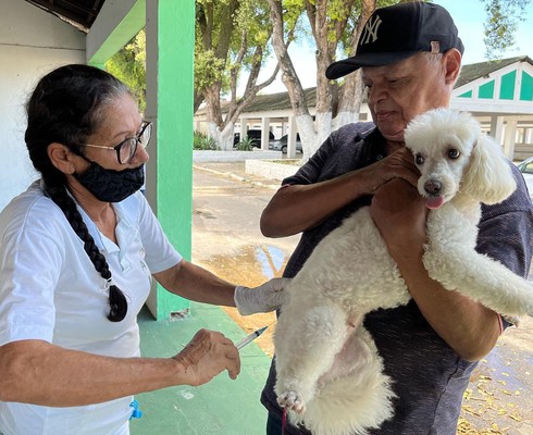 Campanha de vacinação antirrábica realiza repescagem em Aracaju nesta terça (29)