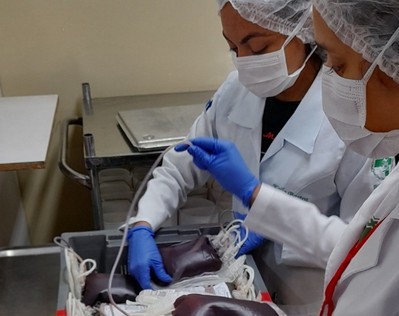 Hemose lança site com consulta em tempo real dos estoques de sangue em Sergipe