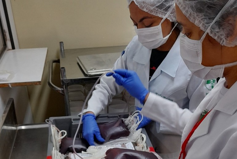 Hemose lança site com consulta em tempo real dos estoques de sangue em Sergipe