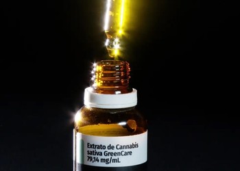Anvisa amplia regras e autoriza cultivo e venda de canabidiol no Brasil; entenda
