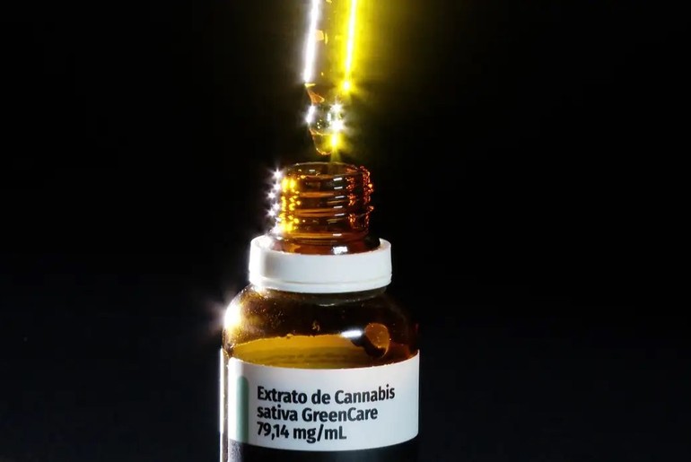 Anvisa amplia regras e autoriza cultivo e venda de canabidiol no Brasil; entenda