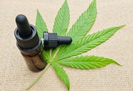 Anvisa proíbe venda de produtos de cannabis e cogumelos