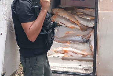 Carro e carga de mariscos roubados são recuperados em operação policial; suspeito está foragido