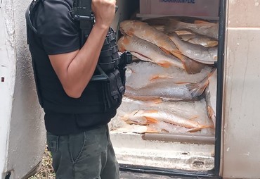 Carro e carga de mariscos roubados são recuperados em operação policial; suspeito está foragido