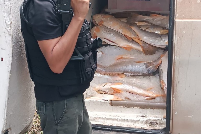 Carro e carga de mariscos roubados são recuperados em operação policial; suspeito está foragido