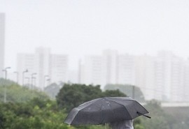 Defesa Civil registra 60 mm de chuva e queda de árvores em Aracaju