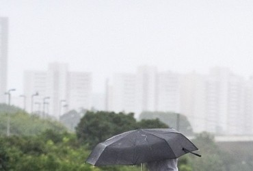 Defesa Civil registra 60 mm de chuva e queda de árvores em Aracaju