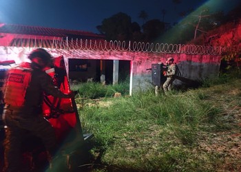 Mulher em surto psicótico mata seis filhotes de cães em São Cristóvão