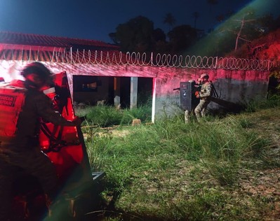 Mulher em surto psicótico mata seis filhotes de cães em São Cristóvão