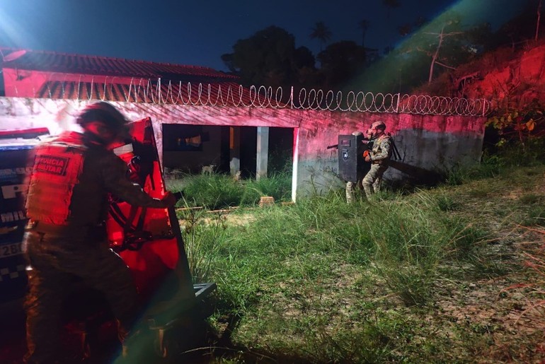Mulher em surto psicótico mata seis filhotes de cães em São Cristóvão