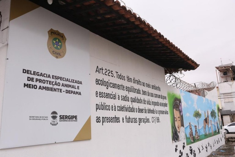 Cadela vítima de maus-tratos é resgatada na Zona Sul de Aracaju