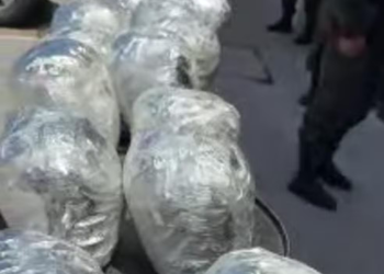 Homem é preso com pacotes de 'flor de maconha' em Aracaju