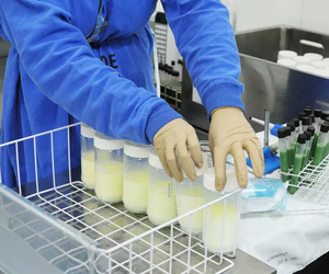 Banco de Leite Humano de Aracaju registra baixo estoque e pede doações