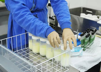 Banco de Leite Humano de Aracaju registra baixo estoque e pede doações