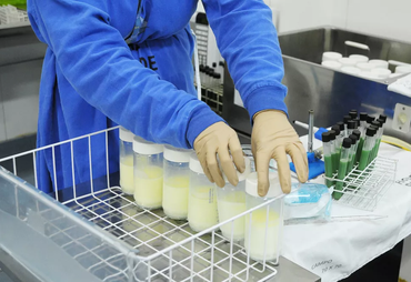 Banco de Leite Humano de Aracaju registra baixo estoque e pede doações