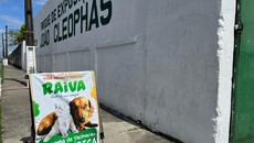 Aracaju prorroga vacinação antirrábica no Parque de Exposições até sexta-feira